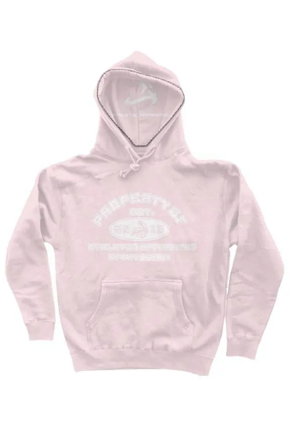 Athletic Apparatus Light Pink HDW2 heavyweight pul